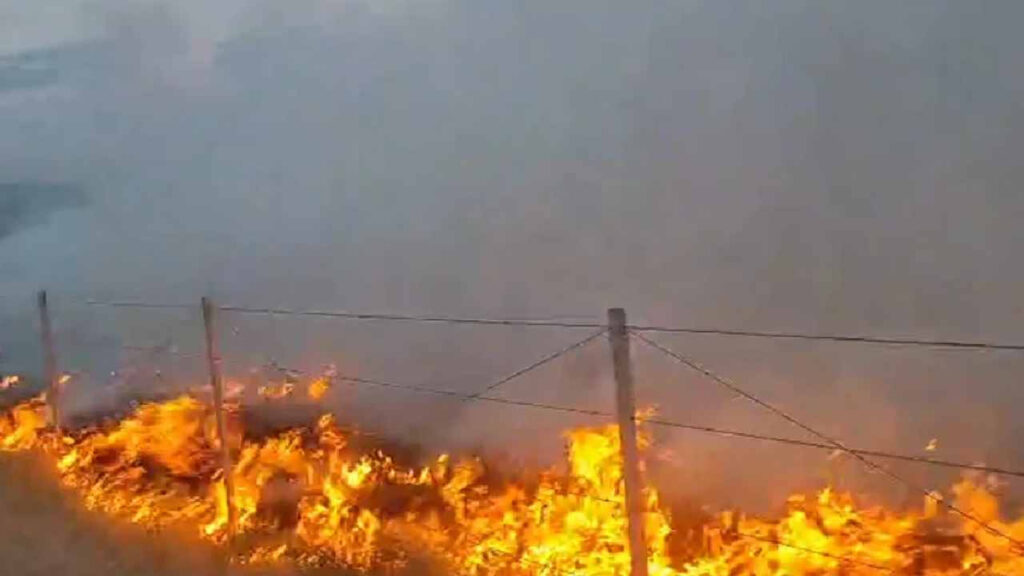 haber-gorseli-1786448372635