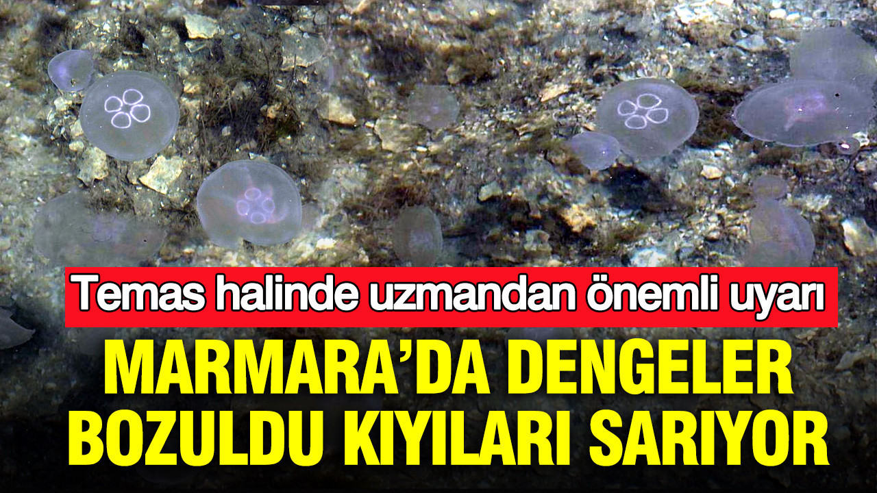 Marmara’da dengeler bozuldu: Kıyıları sarıyor: Temas halinde uzmandan önemli uyarı